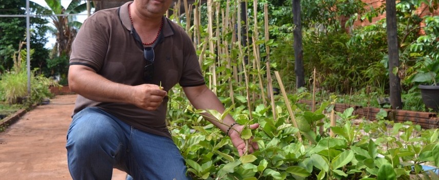 produtor-rural-cultiva-plantas-exoticas-e-nativas-ha-13-anos