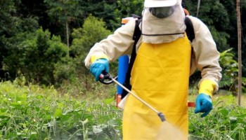 sindicato-rural-alerta-sobre-o-uso-de-agrotoxico