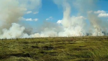 incendio-atinge-terreno-e-mobiliza-bombeiros-em-ibitinga