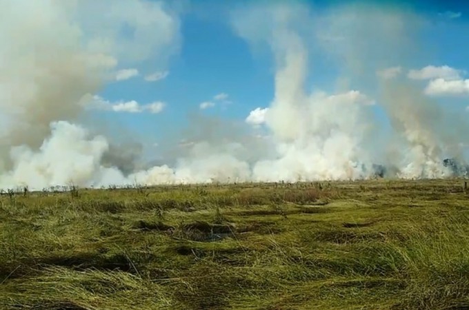 Incndio atinge terreno e mobiliza bombeiros em Ibitinga
