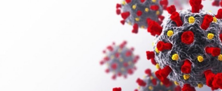 covid-19-ibitinga-chegou-a-10-mil-contaminados-com-mais-2-mortes