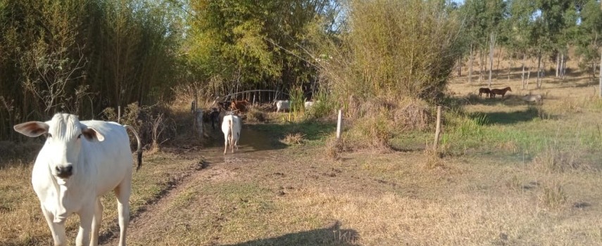 pm-ambiental-de-ibitinga-aplicou-multa-de-rs-14-mil-por-degradacao