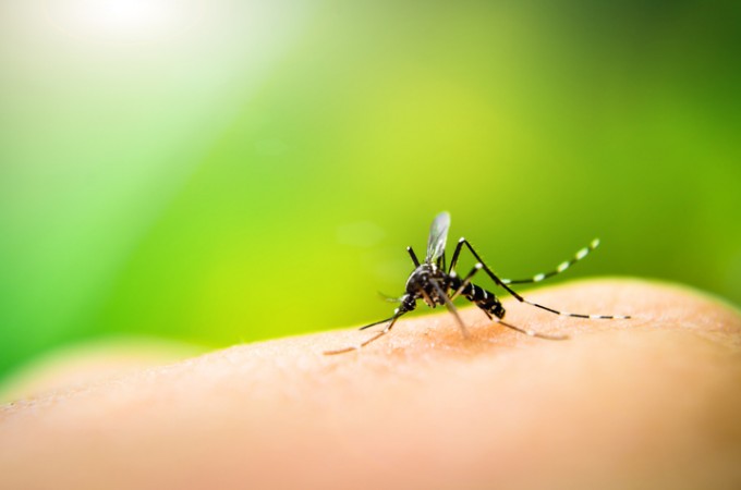Dengue: Prefeitura vai fazer força-tarefa de limpeza no dia 25