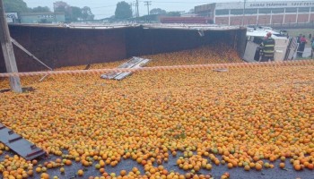 itapolis-caminhao-tomba-e-derruba-carga-de-laranjas-em-rodovia