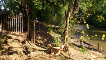 pm-ambiental-flagra-construcao-dentro-de-area-de-preservacao