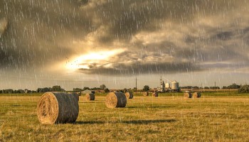 boas-perspectivas-para-agricultura-apos-inicio-de-ano-com-chuva