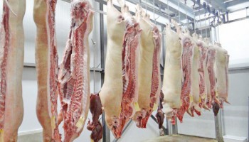 carne-suina-brasil-deve-produzir-mais-este-ano-do-que-em-2022