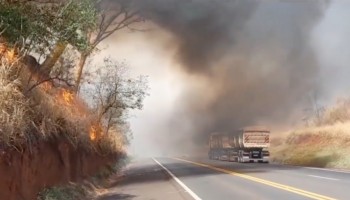 sp-304-gado-morre-em-incendio-as-margens-de-rodovia-em-ibitinga
