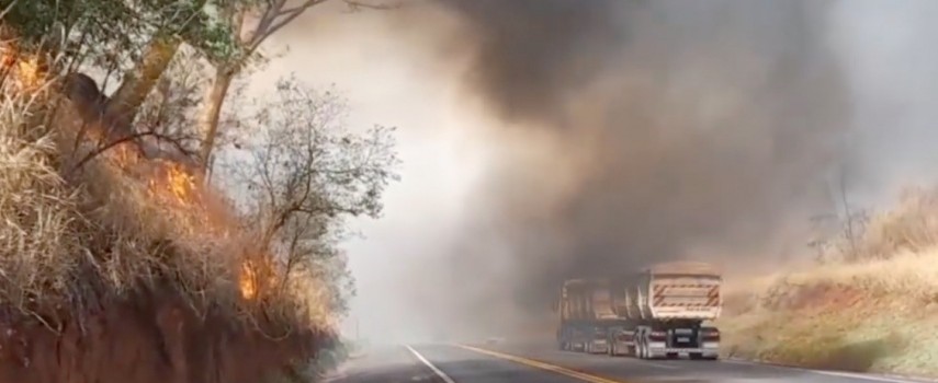 sp-304-gado-morre-em-incendio-as-margens-de-rodovia-em-ibitinga