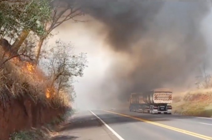 SP-304: Gado morre em incndio s margens de rodovia em Ibitinga