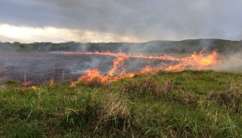 incendio-destruiu-plantacao-de-cana-de-acucar-no-bairro-agua-quente
