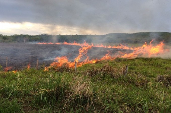 Incndio destruiu plantao de cana-de-acar no Bairro gua Quente