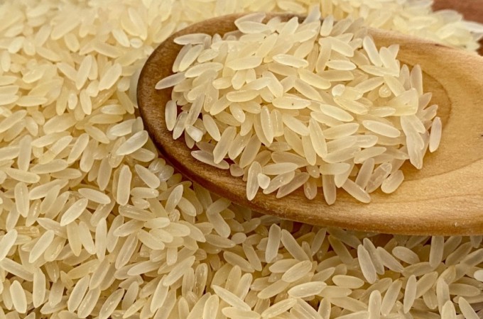 Importao de arroz no derrubar preo segundo Secretrio da MAPA