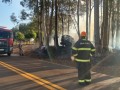 Carro bate em rvore, pega fogo e incendeia vegetao na rodovia