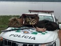 PM Ambiental de Ibitinga apreende barco e prende homem no Rio Tiet