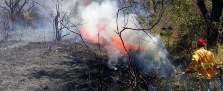 estado-alerta-para-queimadas-e-umidade-esta-em-nivel-de-deserto