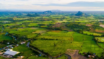 relatorio-aponta-desempenho-positivo-de-empregos-na-agropecuaria