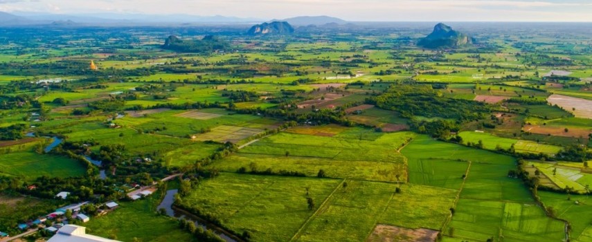 relatorio-aponta-desempenho-positivo-de-empregos-na-agropecuaria