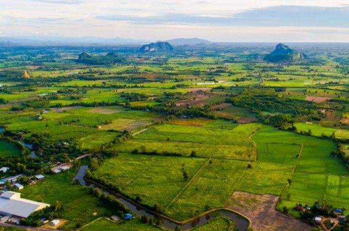 Relatrio aponta desempenho positivo de empregos na agropecuria