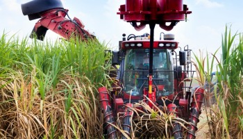 agropecuaria-numero-de-admissoes-foi-maior-que-demissoes