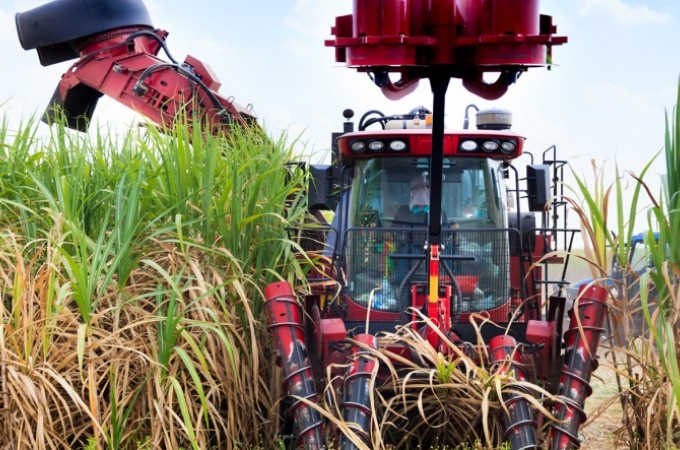 Agropecuria: Nmero de admisses foi maior que demisses