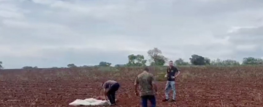 ibitinga-mulher-e-encontrada-morta-na-area-rural