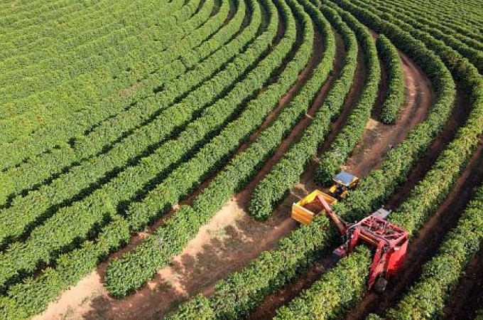 PIB do Agro recua no 3 trimestre de 2024 e o ano contabiliza queda 