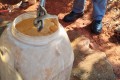 Cobra  capturada dentro de uma residncia em Ibitinga