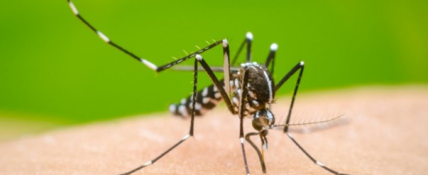 dengue-ibitinga-saltou-para-44-mil-casos-confirmados-e-4-mortes