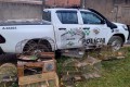PM Ambiental apreendeu aves silvestres em cativeiro e aplicou multas
