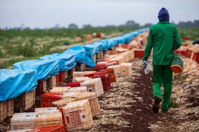 CNA analisa dados de empregos formais da agropecu�ria em junho