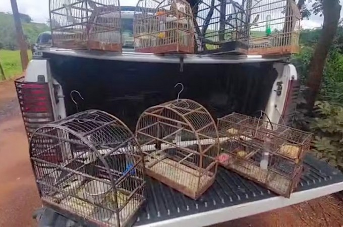 Homem � multado em R$ 6,5 mil por manter 13 aves em cativeiro