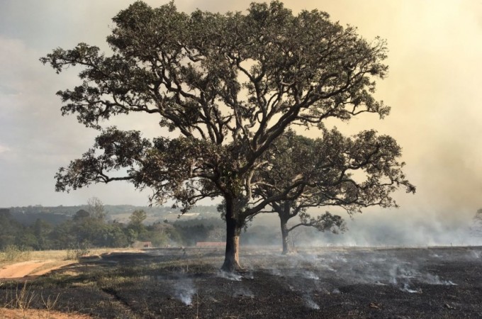 Incndio atinge fazenda e reserva de mata nativa na regio de Bauru