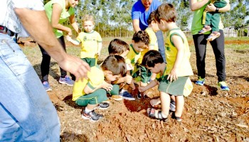 alunos-do-flapi-realizaram-plantio-de-arvores