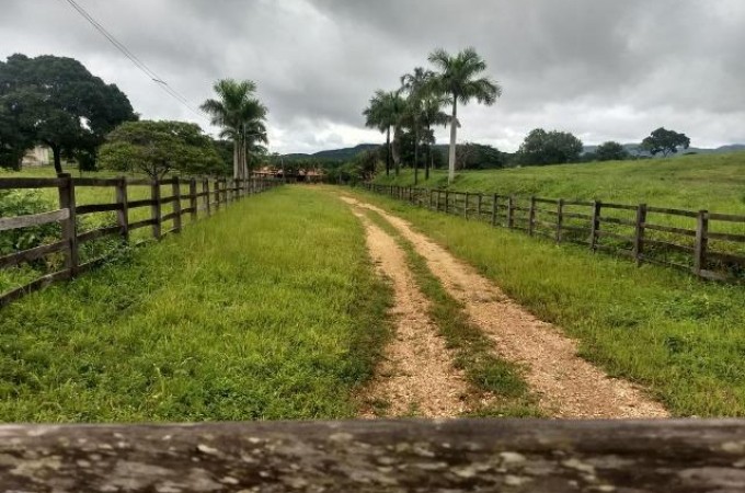 Famlia  feita refm em Cambaratiba