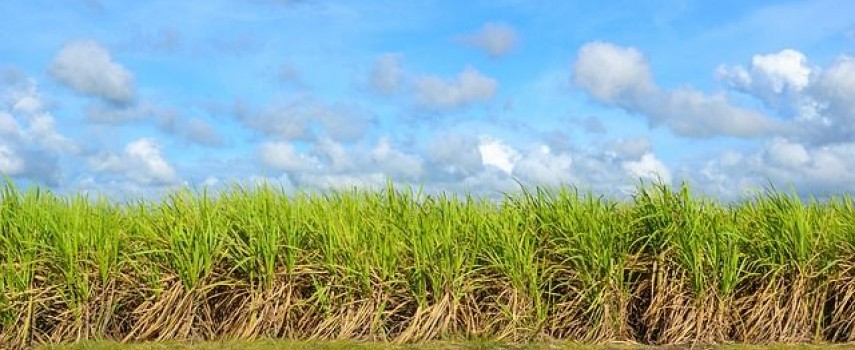 saiba-mais-sobre-a-forma-de-pagamento-funrural-2019