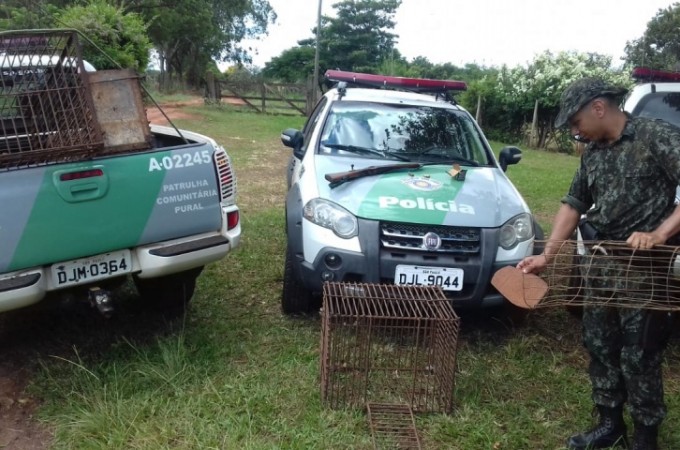 PM Ambiental localiza espingarda, munies e armadilhas em Arealva