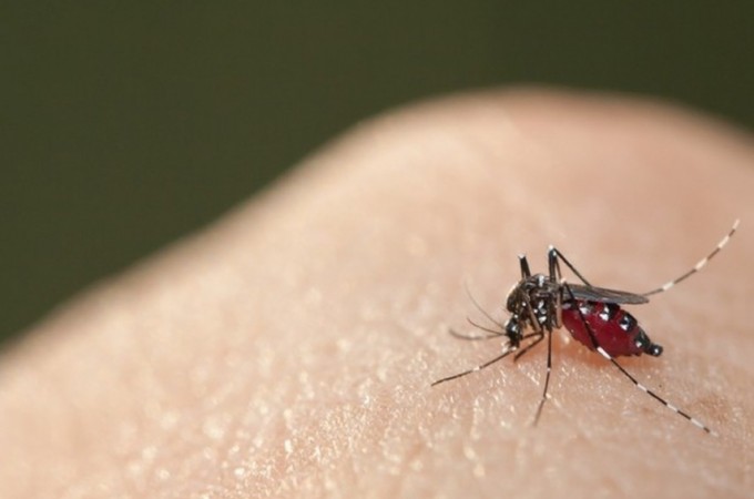 Com 94 casos de dengue, Borborema decreta situao de emergncia