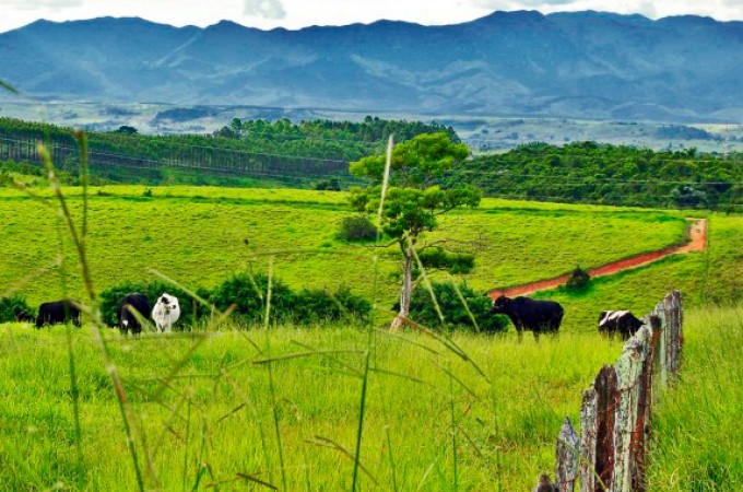 Featured image of post Imagens Da Zona Rural / Imagen del municipio de yalí, donde este año han asesinado a dos personas en la zona urbana de la localidad.