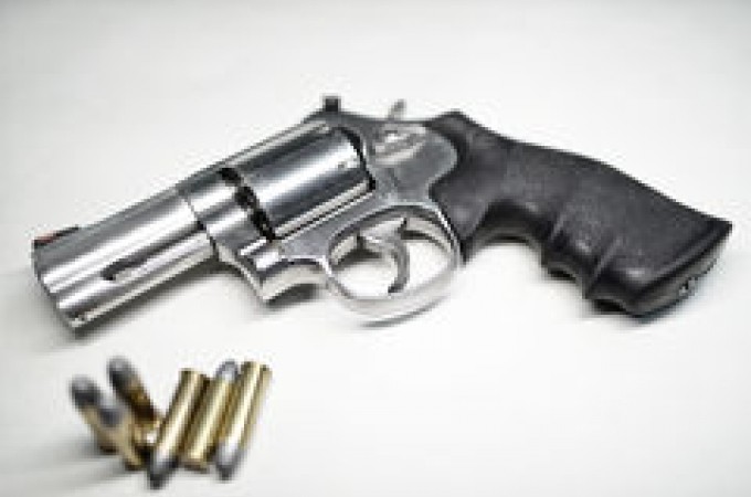 Cmara aprova posse de arma em toda extenso da propriedade rural