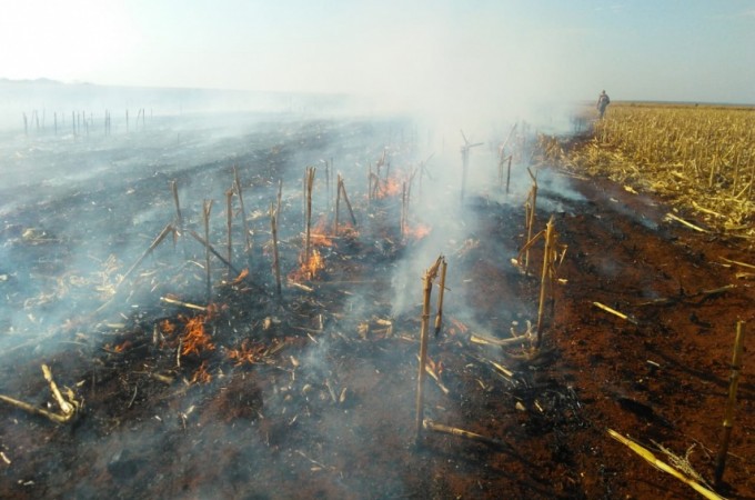 Bolsonaro assina decreto proibindo queimadas no pas por 60 dias