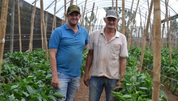 familia-investe-em-diversificacao-de-culturas-a-agricultura-familiar