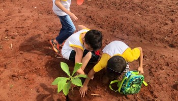 projeto-de-educacao-ambiental-leva-alunos-para-plantio-de-arvores-na