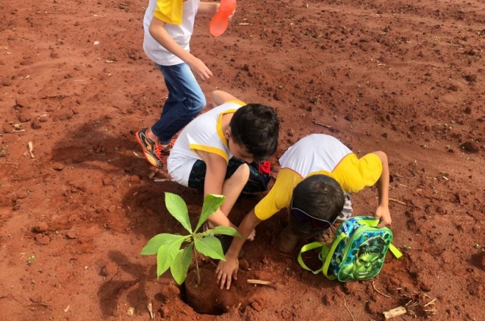 Projeto de educao Ambiental leva alunos para plantio de rvores na