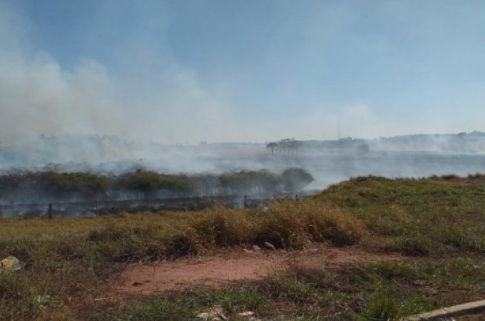 Incndio de vegetao atingiu reserva nativa em Ibitinga