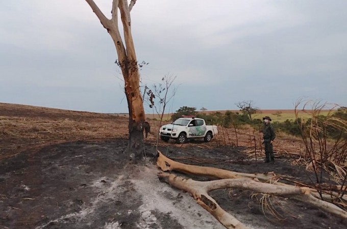 Iacri: Fazenda  multada em R$ 180 mil aps incndio em mata nativa