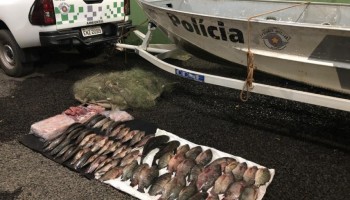 tres-homens-sao-detidos-com-50-kg-de-peixes-em-novo-horizonte