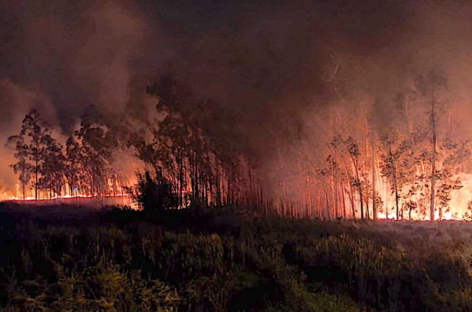 Incndio destruiu rea de 8 mil m no Jd. Mirante