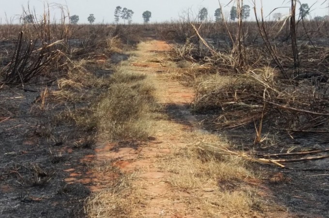 PM Ambiental autua fazenda em R$ 400 mil por queimada em Guaiara