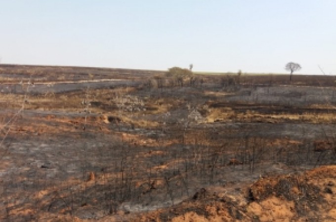 Fazendeiro leva multa de R$ 647 mil por fogo 